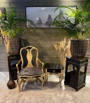 En vacker möbelgrupp