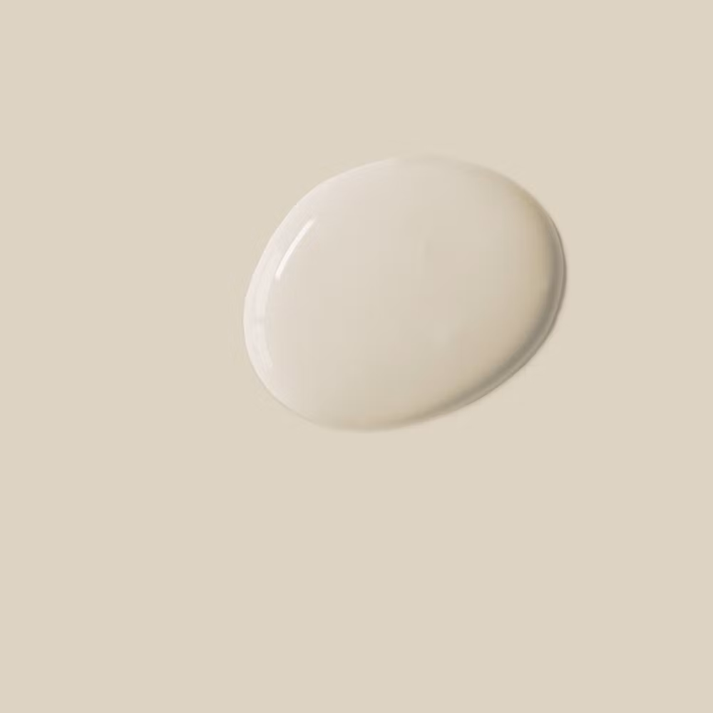 Annie Sloan Wall Paint Canvas väggfärg beige interiör glada ungmöns diversehandel 1