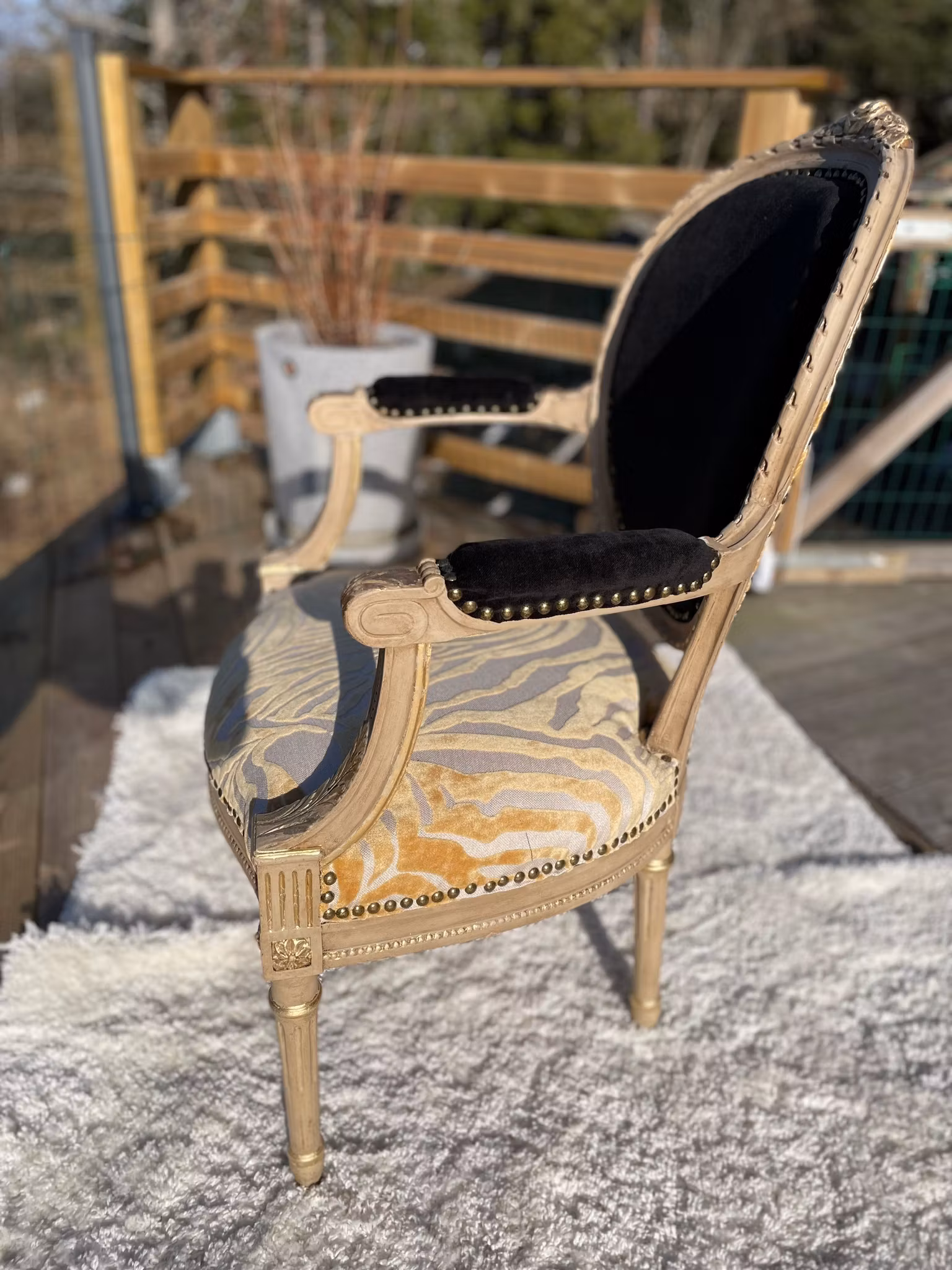 Eleganta stolar i svart och zebra samt med gulddetajer