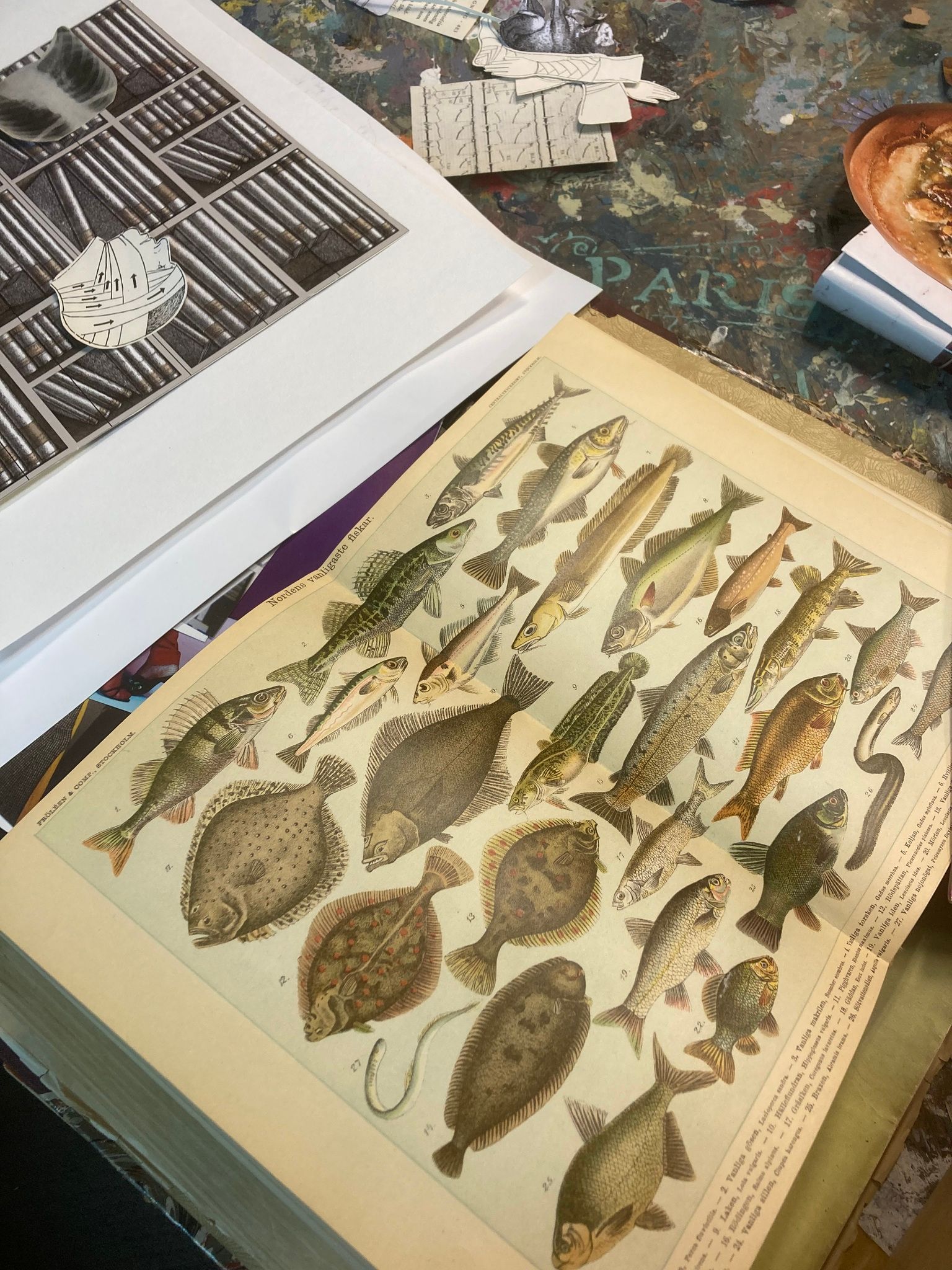 färg, akryl, collage, mixed media, penslar, böcker, fiskar, montera