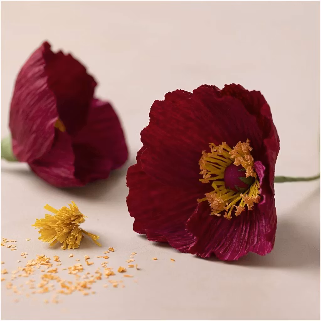 Kräppapper Vallmo    Mini DIY Kit, vinröd, mörkröd, blomma,