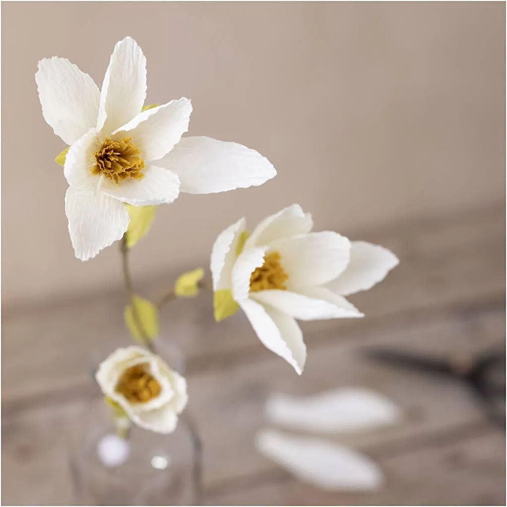 Kräppapper, Magnolia, kvist, Mini DIY Kit, vita blommor,
