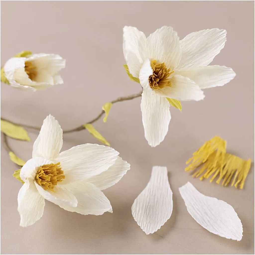 Kräppapper, Magnolia, kvist, Mini DIY Kit, vita blommor,