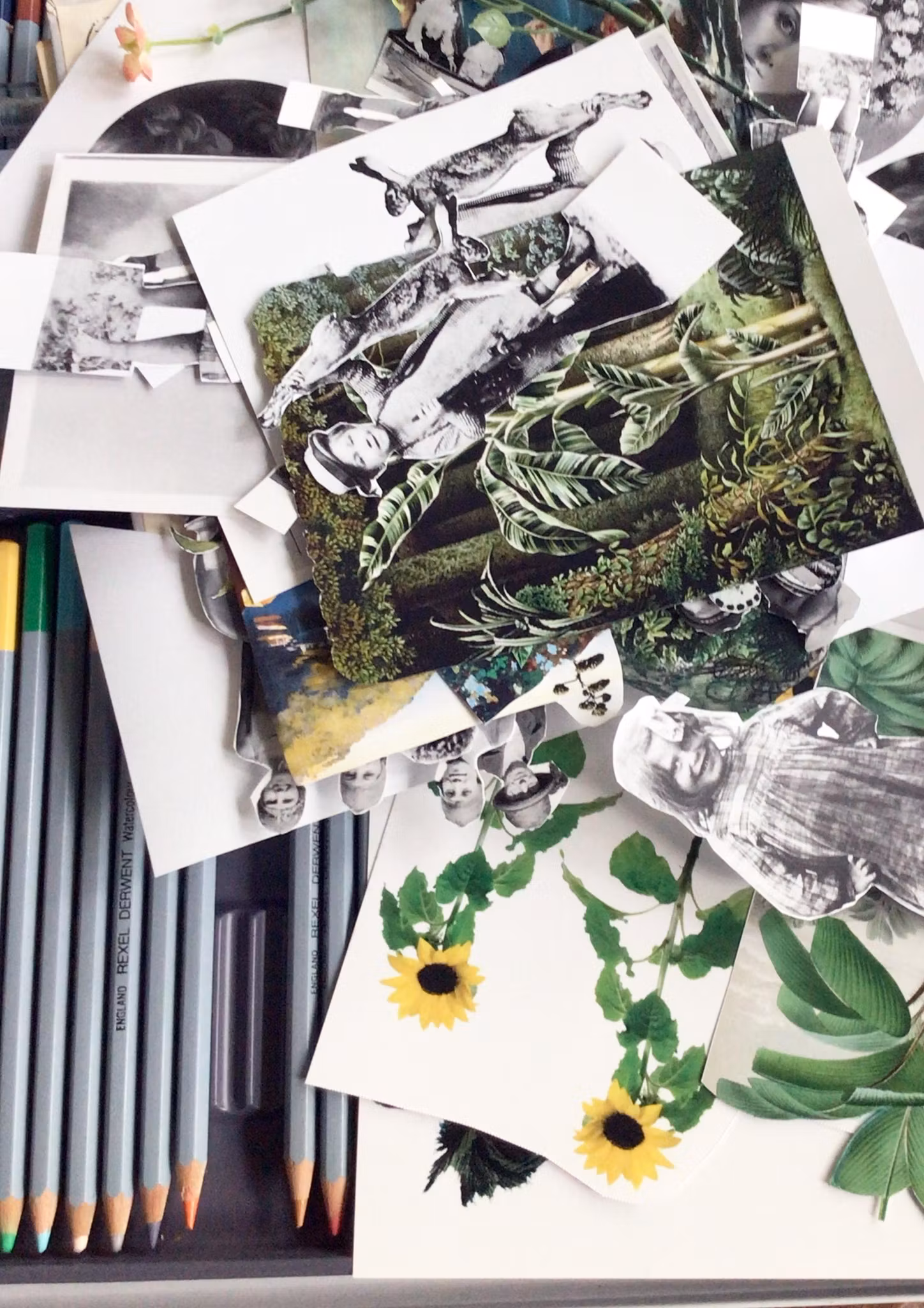 Släktporträtt på Burk