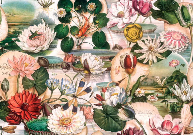 Bomo art DecoupageWater Lily