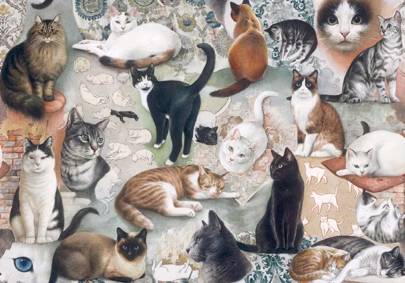 Bomo art Decoupage The nine Lives of Cats
