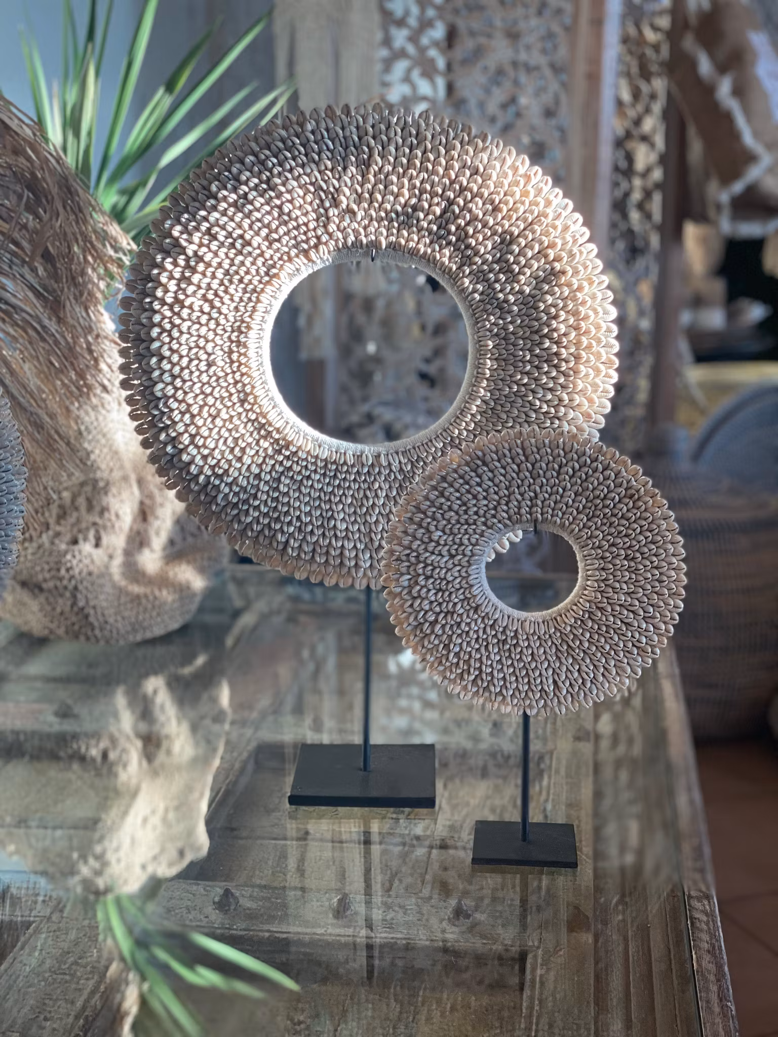 Stor, rund deco med cowry snäckor