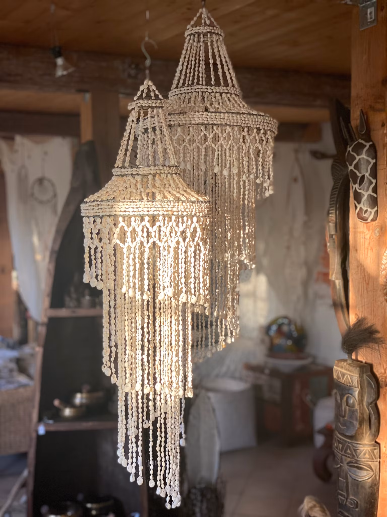 Liten, spiral lampskärm av snäckor