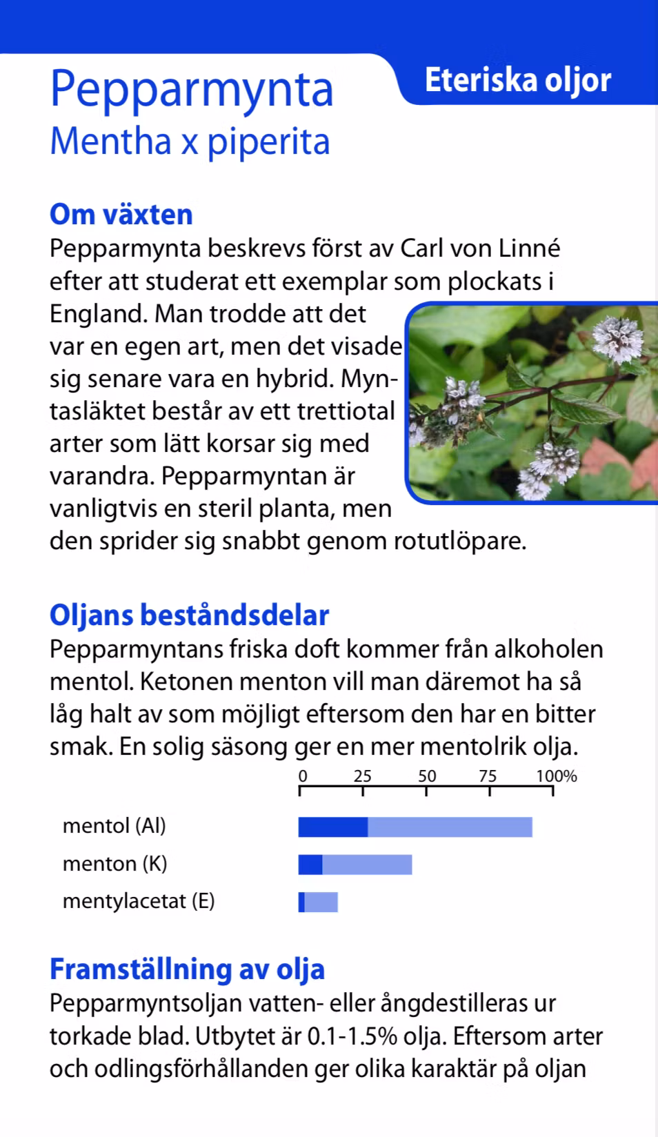 Pepparmynta eterisk olja 10ml