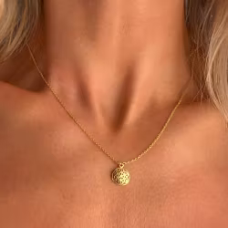 Halsband guldpläterad "livets blomma" i silver 925