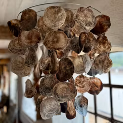 Scallop deco/lampskärm L