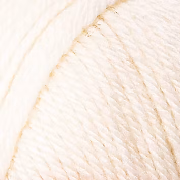 Raggi 100g