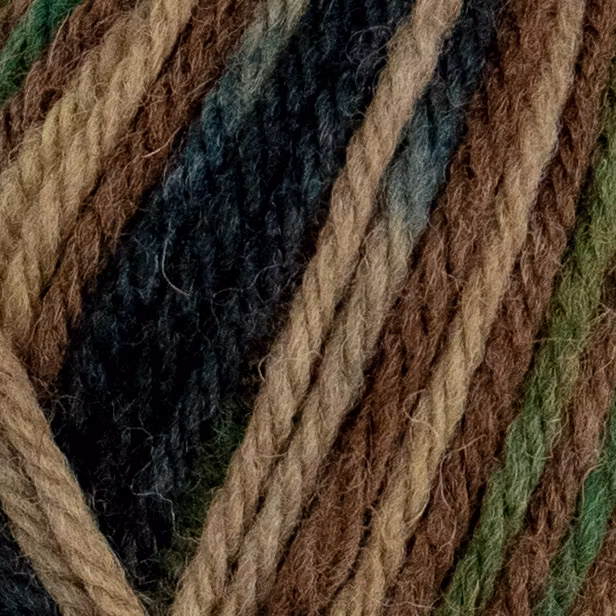 Raggi 100g