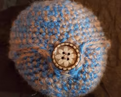 Äpplefodral med knapp