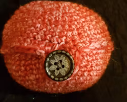 Äpplefodral med knapp