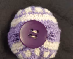 Äpplefodral med knapp