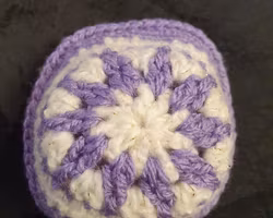 Äpplefodral med knapp