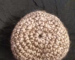 Äpplefodral med knapp