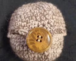 Äpplefodral med knapp