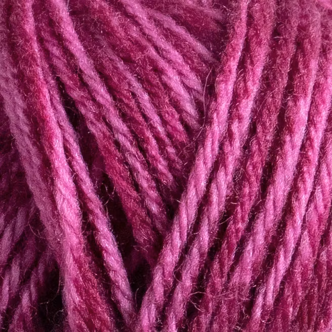 Raggi 100g