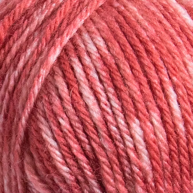 Raggi 100g