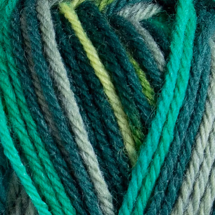 Raggi 100g