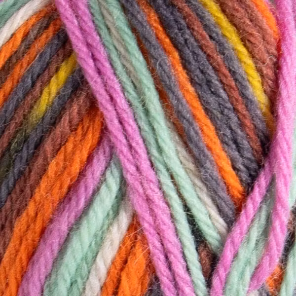Raggi 100g
