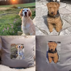Bild på din egen bil, hund eller något annat som du håller kärt?