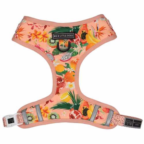 Big and Little dogs Sele Fruit Salad