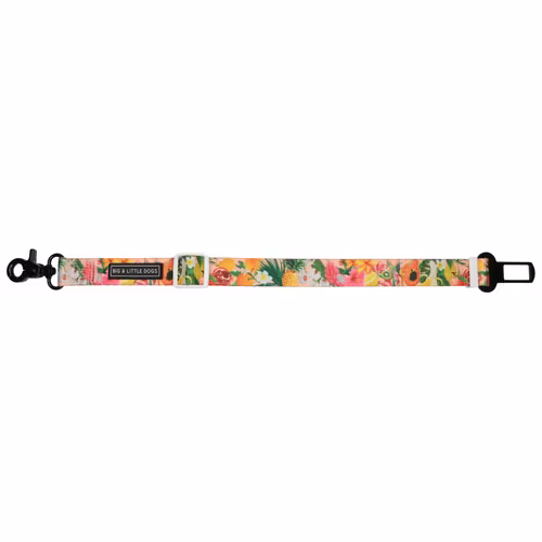 Bilbälte Fruit Salad