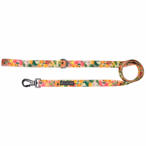 Big & Little dog koppel Fruit Salad