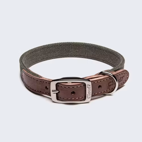 Cloud7 Hundhalsband Tivoli Olive