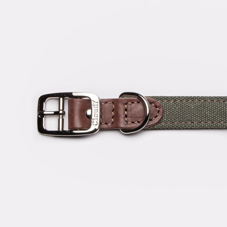 Cloud7 Hundhalsband Tivoli Olive