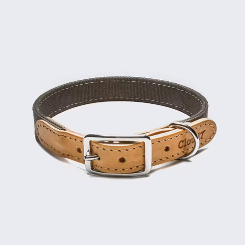 Cloud7 Hundhalsband Tivoli Greige
