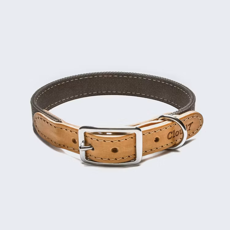 Cloud7 Hundhalsband Tivoli Greige