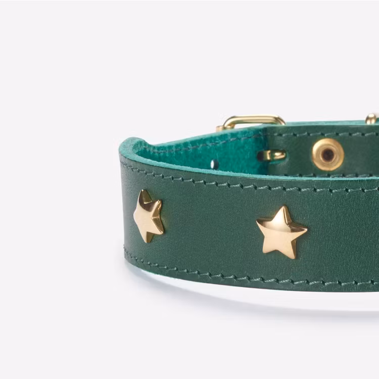 Branni Pets Star Grön