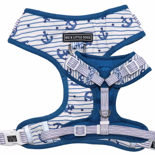 Big and Little dogs Sele Oh Ship!