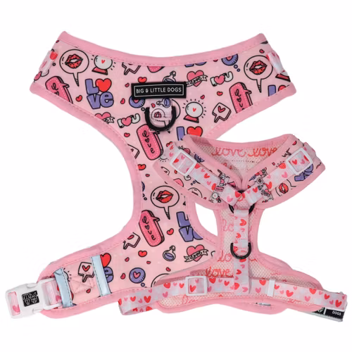 Big and Little dogs Don't You Know I Love You?