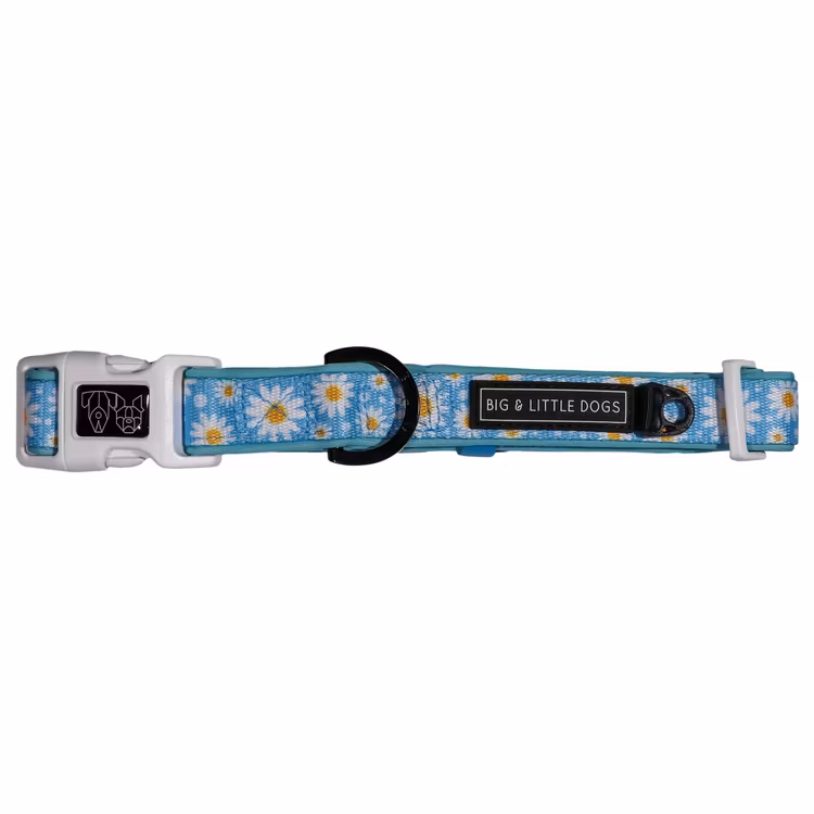 Big & Little Dogs Halsband med fluga Lazy Daisy