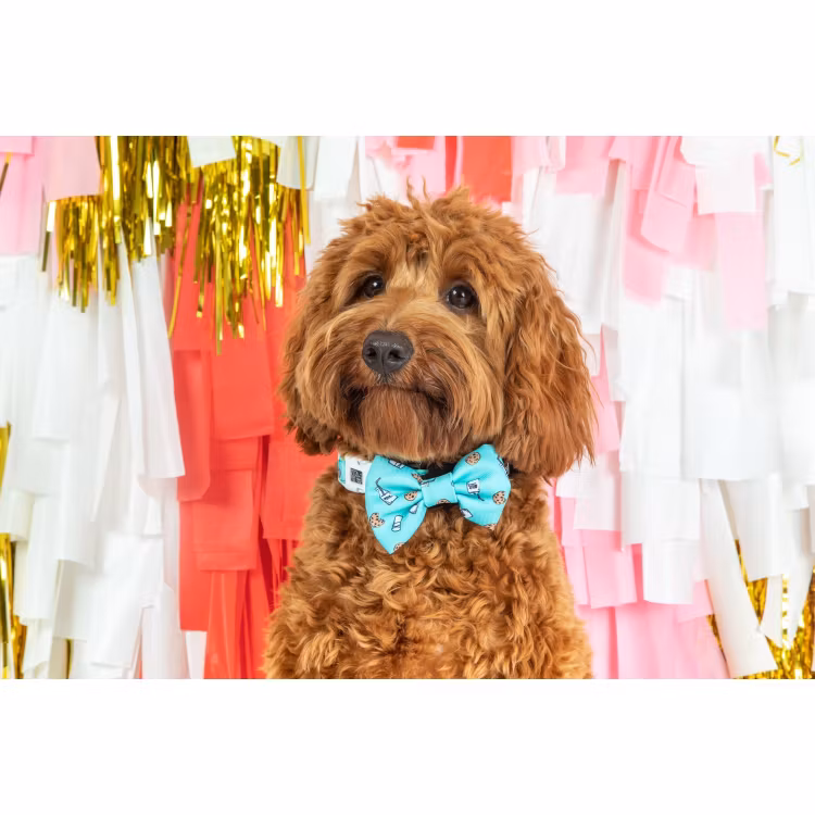 Big & Little Dogs Halsband med fluga Milk & Cookies