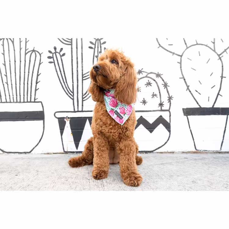 Big and Little Dogs Hundscarf "My pretty peony"