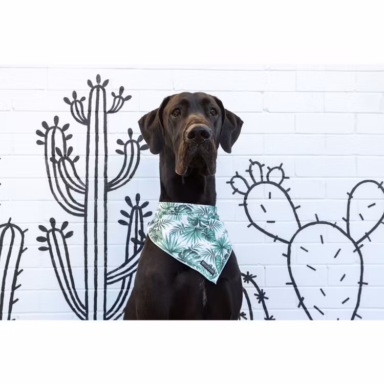 Big and Little Dogs Hundscarf "Lost in Paradise"