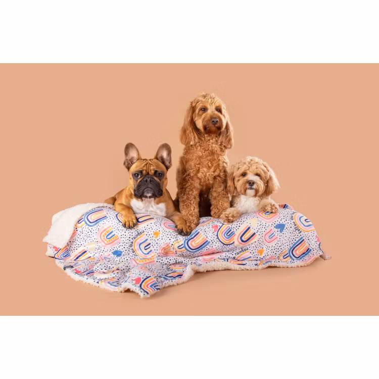 Hundfilt Regnbåge Big and Little dogs