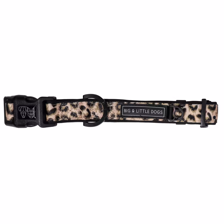 Big & Little Dogs Halsband med fluga Luxurious Leopard