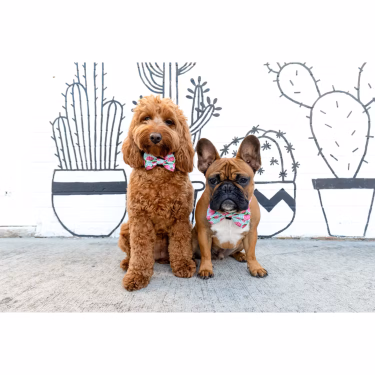 Big & Little Dogs Halsband med fluga Pretty Peony