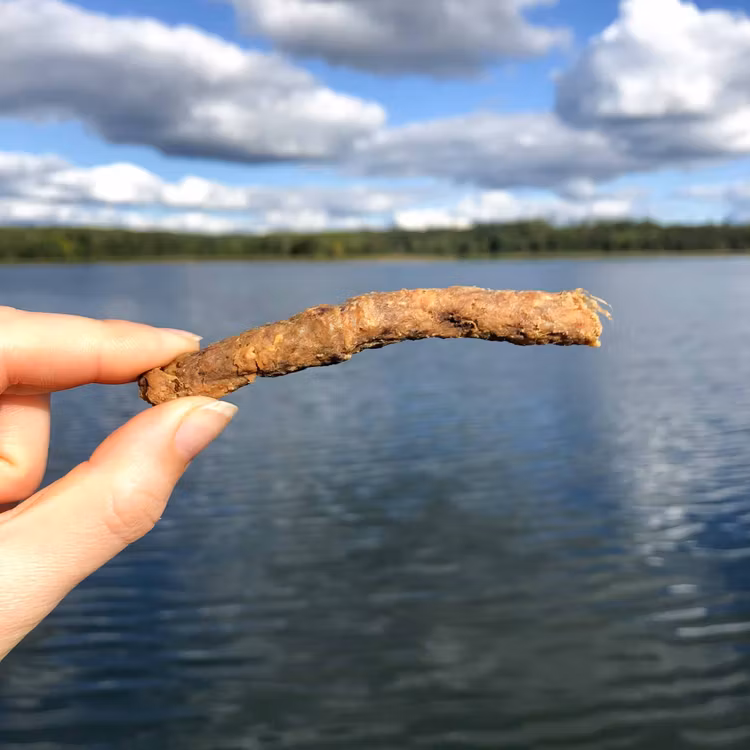 Lammsticks