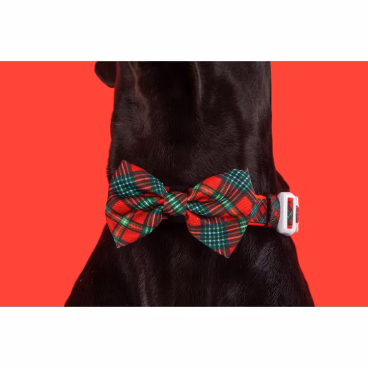 Big & Little Dogs Halsband med fluga Happy Holidays