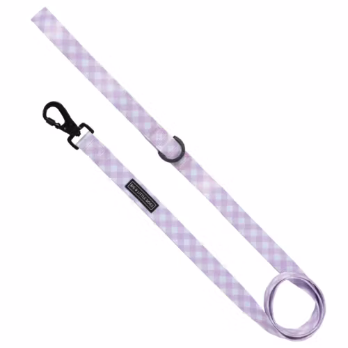 Big & Little dog koppel Berry Gingham