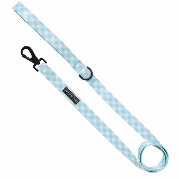 Big & Little dog koppel Mint Gingham
