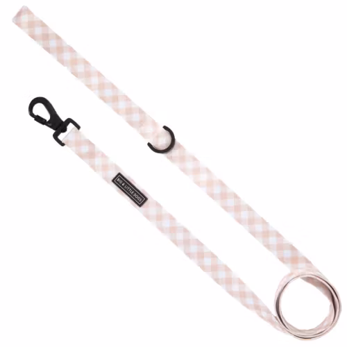 Big & Little dog koppel Latte Gingham